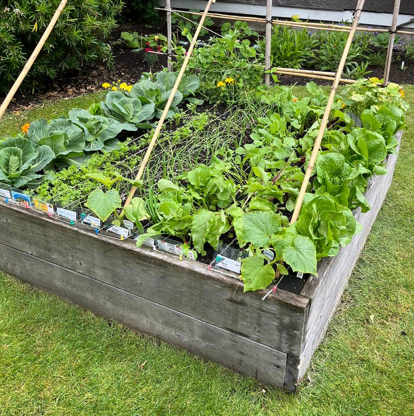 Boulevard Raised Garden Bed